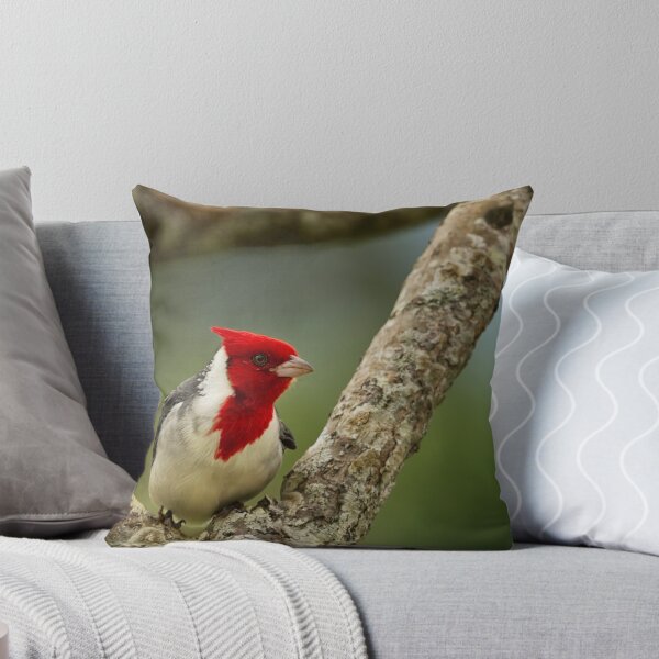 Item preview, Red Crested Cardinal designed and sold by Belinda Greb Photography.