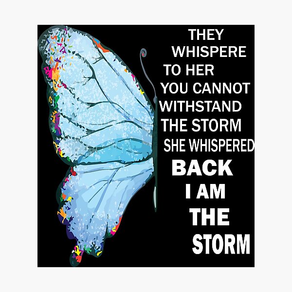 I Am The Storm Wall Art Redbubble