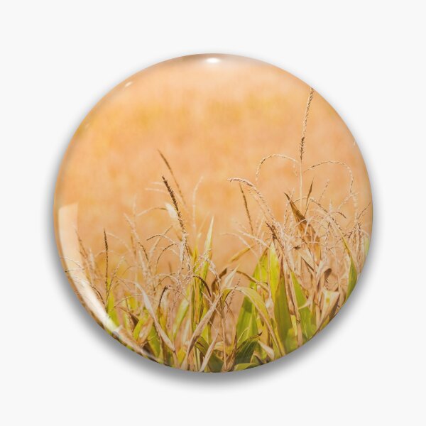 Item preview, Corny Vignette designed and sold by Jim Love.
