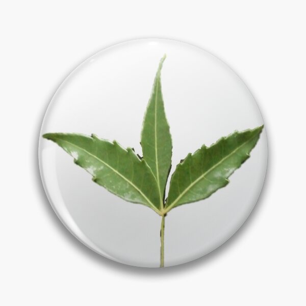 Item preview, Neem green leaves  designed and sold by 59SHOP24.