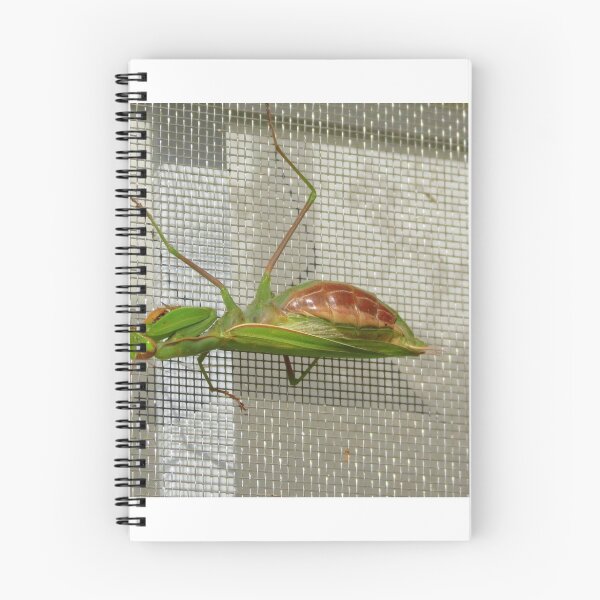 Item preview, Multiplying Mantis designed and sold by Diane Arndt.