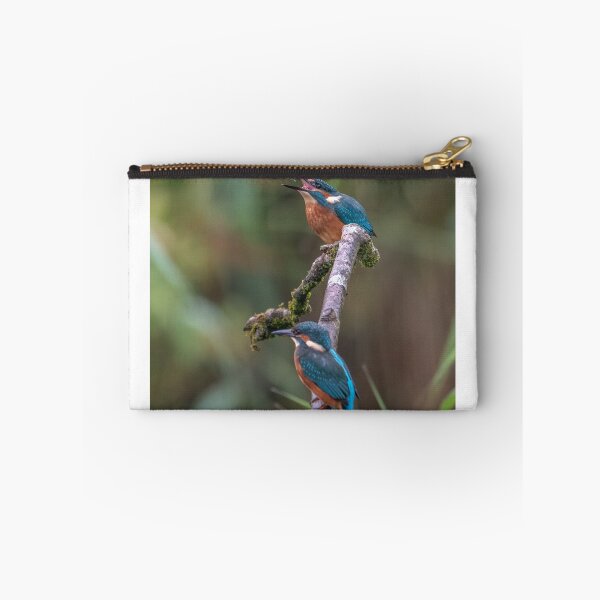 Item preview, Common Kingfishers designed and sold by Steve Liptrot Photography.