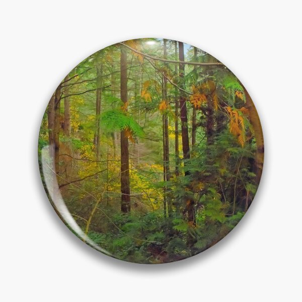 Item preview, In Lighthouse Park, old-growth coastal rainforest designed and sold by Priscilla Turner.
