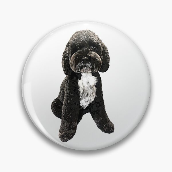 Artikelvorschau, Cockapoo Cavapoo Schwarz mit weißem Hündchen entworfen und verkauft von ElegantCat.