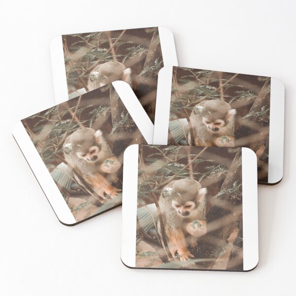 Item preview, hungry designed and sold by barbosaphotos.