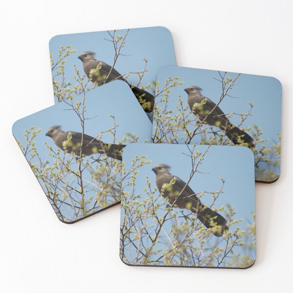Item preview, Loerie Buds designed and sold by justbmac.