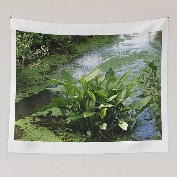 Item preview, Peace Lily  designed and sold by Naomi80.