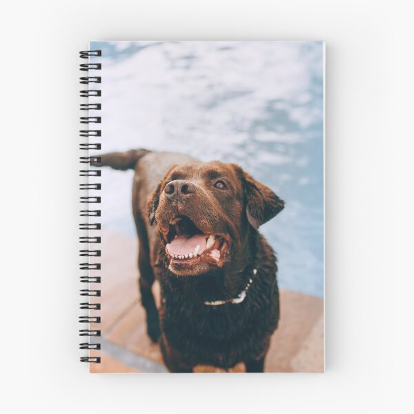 Item preview, Brown dog designed and sold by Batartiste.