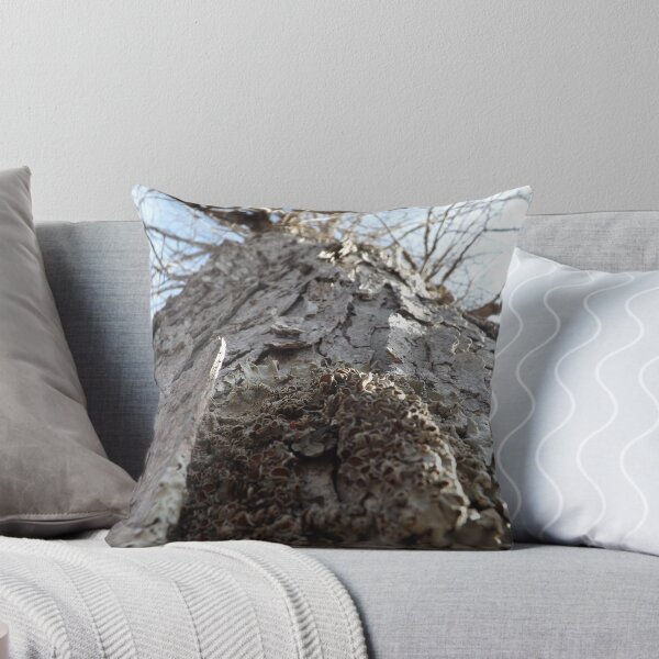 Item preview, Sugar Maple designed and sold by Kathryn Shaw - Wildflies.