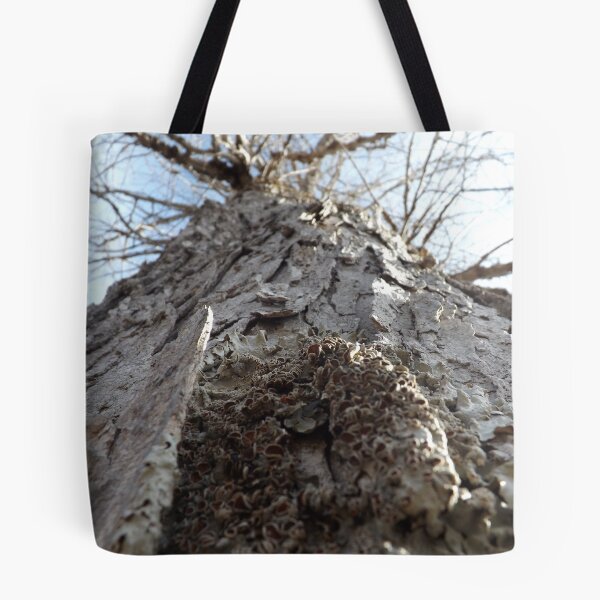 Item preview, Sugar Maple designed and sold by Kathryn Shaw - Wildflies.