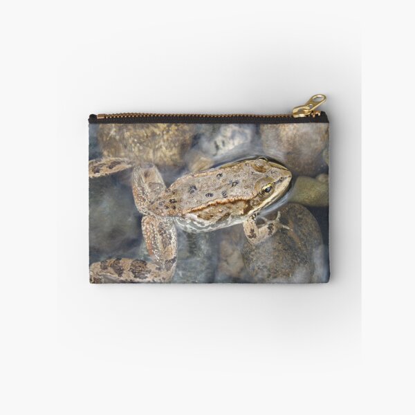 Item preview, Frog Legs designed and sold by Kathryn Shaw - Wildflies.