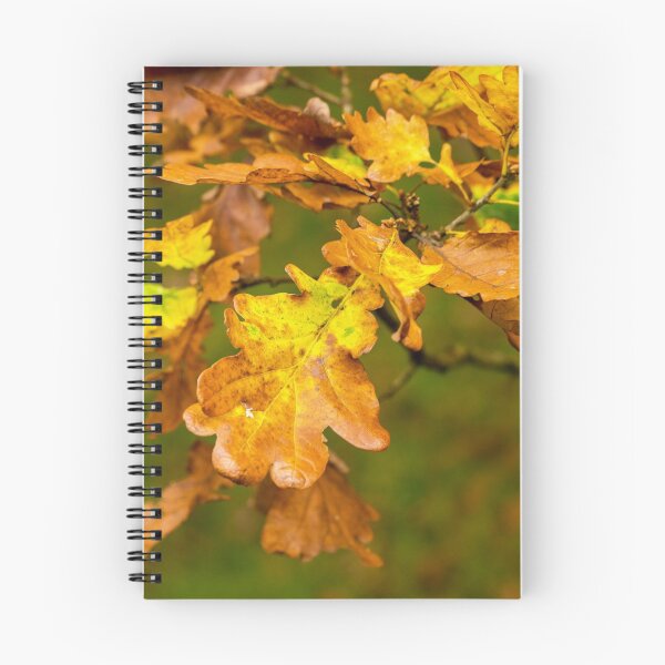 Item preview, Autumn Oak Leaves in October with beautiful yellowish and brownish colours on them.  designed and sold by Cameranick.