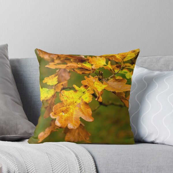 Item preview, Autumn Oak Leaves in October with beautiful yellowish and brownish colours on them.  designed and sold by Cameranick.