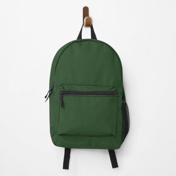 green velvet backpack