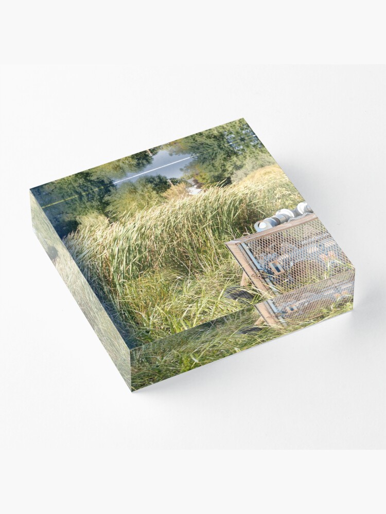Alternate view of Sump Pump In The Reeds Acrylic Block