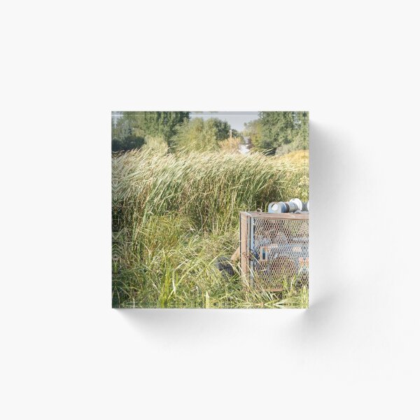 Sump Pump In The Reeds Acrylic Block