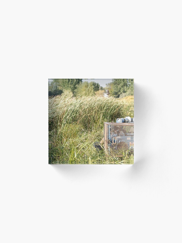 Alternate view of Sump Pump In The Reeds Acrylic Block