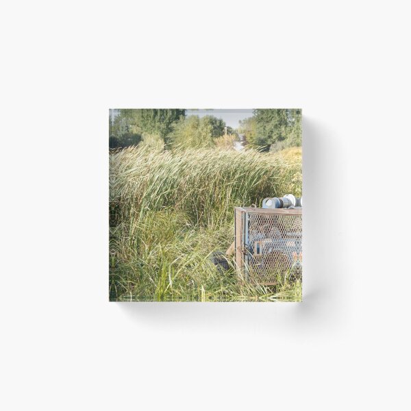 Sump Pump In The Reeds Acrylic Block