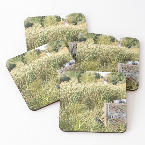 Sump Pump In The Reeds Coasters (Set of 4)