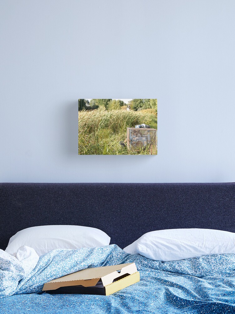 Thumbnail 1 of 3, Canvas Print, Sump Pump In The Reeds designed and sold by JoeySkamel.