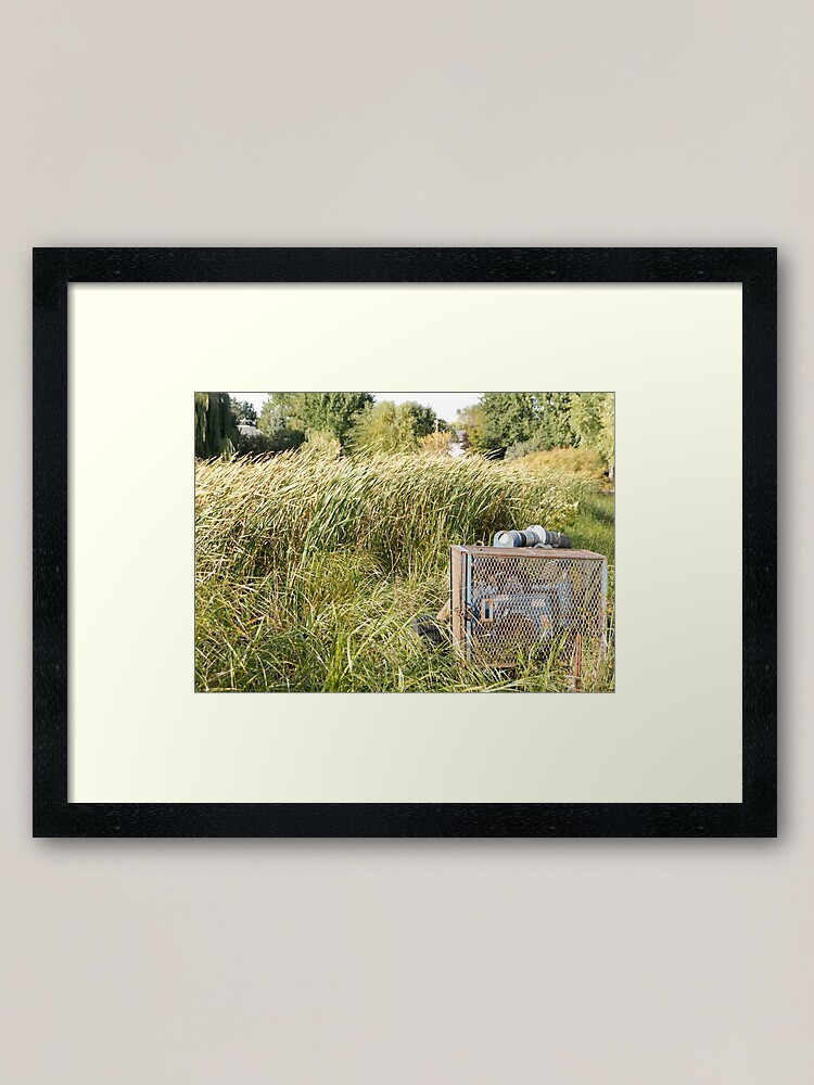 Alternate view of Sump Pump In The Reeds Framed Art Print
