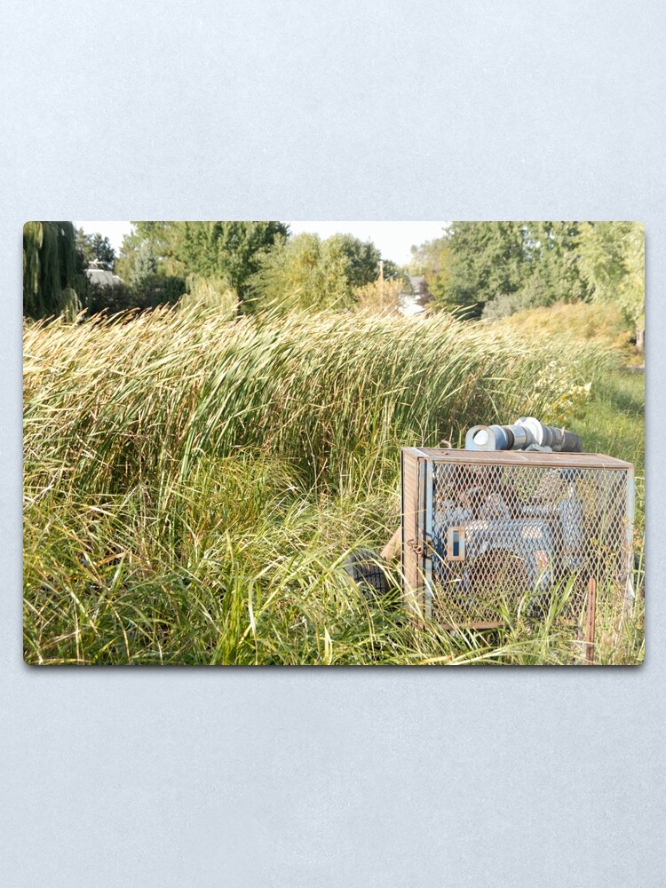 Alternate view of Sump Pump In The Reeds Metal Print