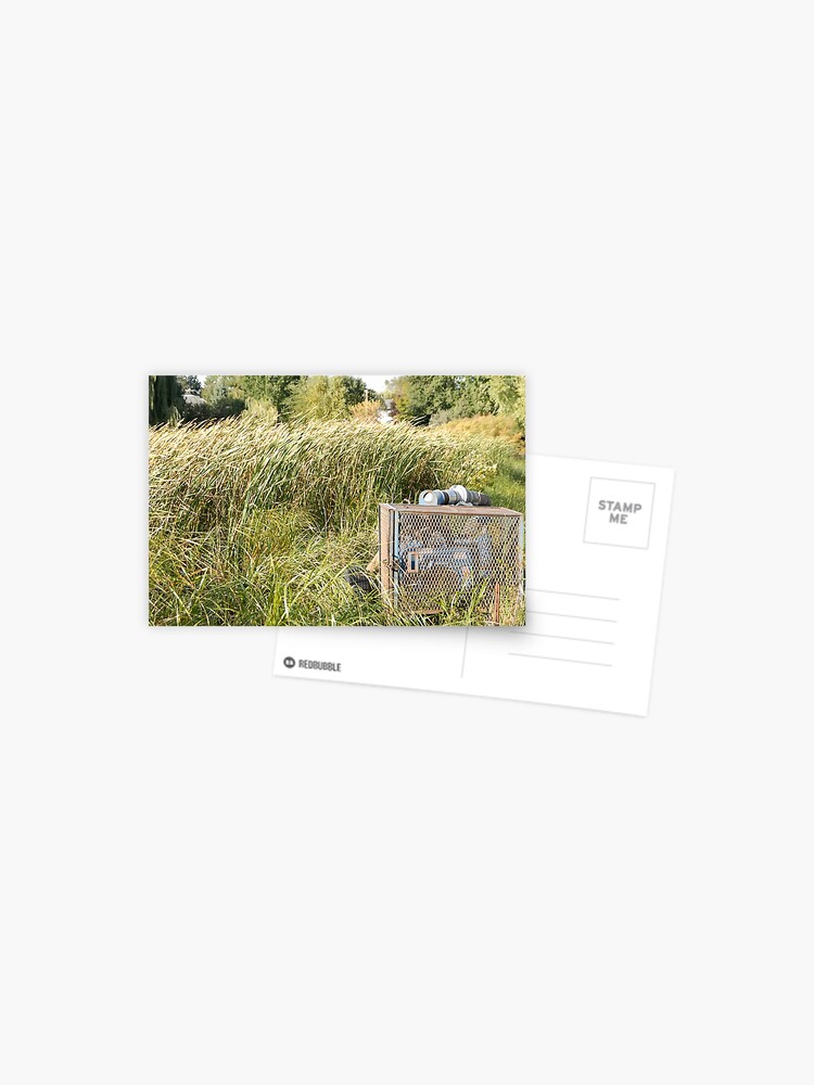 Thumbnail 1 of 2, Postcard, Sump Pump In The Reeds designed and sold by JoeySkamel.