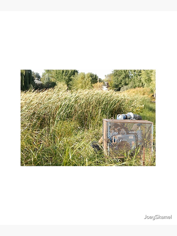 Sump Pump In The Reeds by JoeySkamel