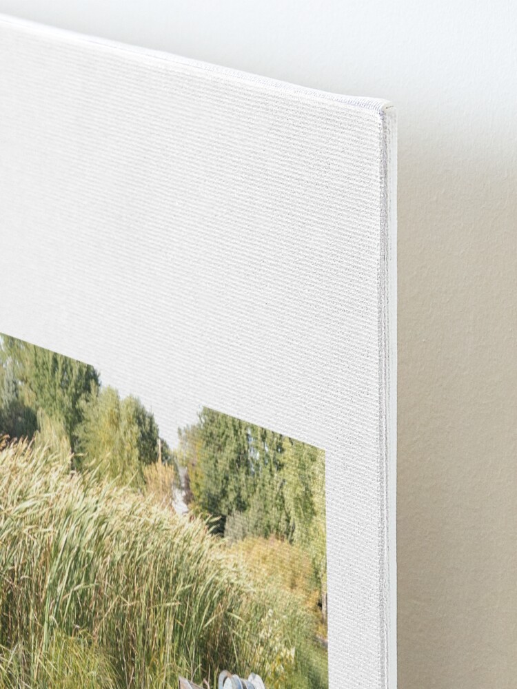 Alternate view of Sump Pump In The Reeds Mounted Print