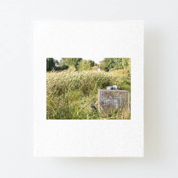 Sump Pump In The Reeds Canvas Mounted Print