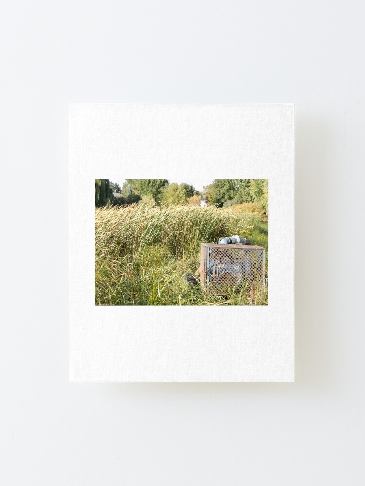 Alternate view of Sump Pump In The Reeds Mounted Print