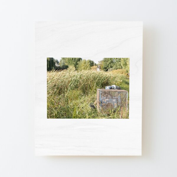 Sump Pump In The Reeds Wood Mounted Print