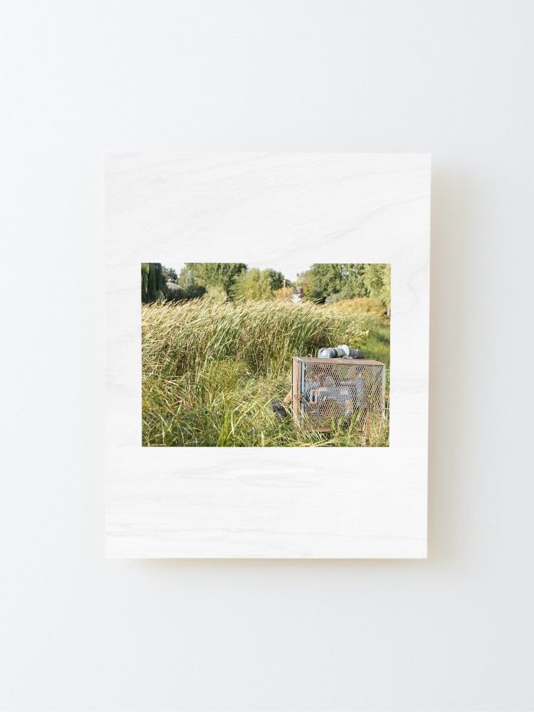 Thumbnail 2 of 6, Mounted Print, Sump Pump In The Reeds designed and sold by JoeySkamel.