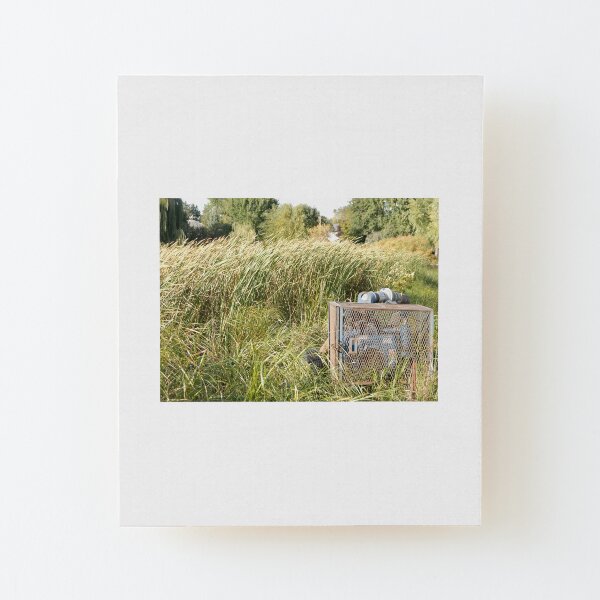 Sump Pump In The Reeds Wood Mounted Print