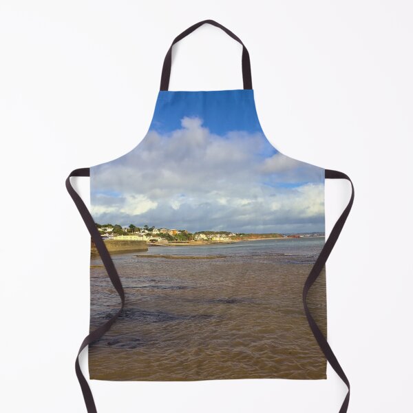 Item preview, View of Dawlish from the Sea Wall past Boat Cove designed and sold by Jeremy Hayden.