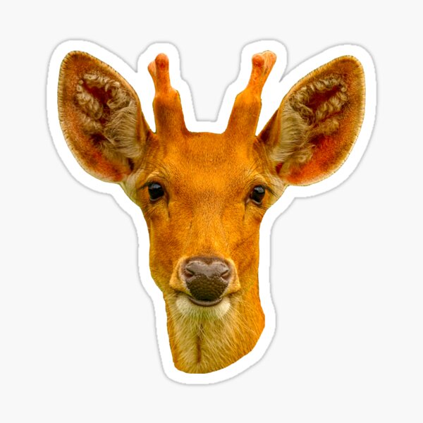 Item preview, Barasingha deer designed and sold by OwlOccasions.