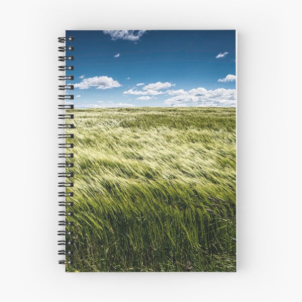 Item preview, Northumberland in Summer - Almost Harverst Time designed and sold by xperienceNE.