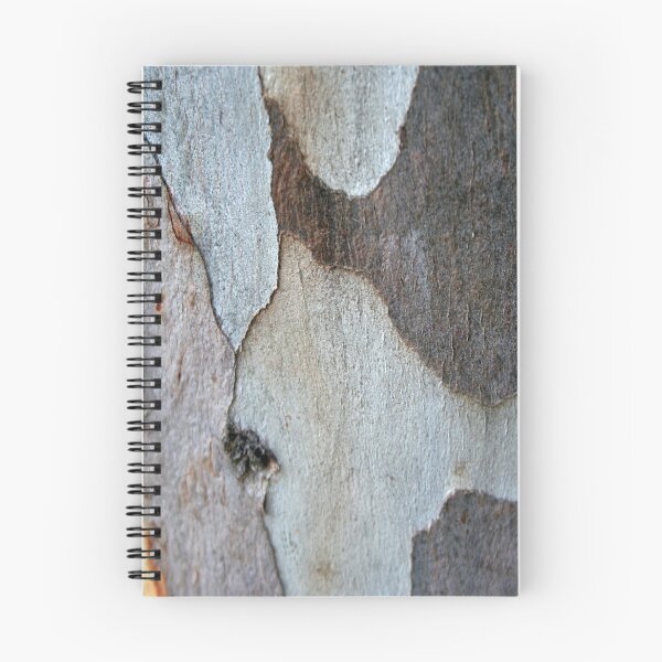 Item preview, Peeling Bark Of A Eucalyptus Gum Tree Photography designed and sold by taiche.