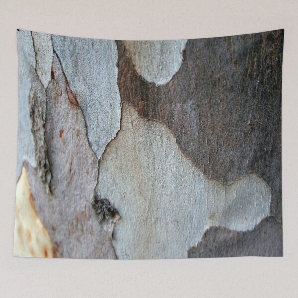 Item preview, Peeling Bark Of A Eucalyptus Gum Tree Photography designed and sold by taiche.