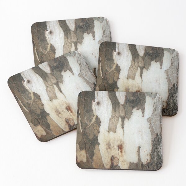 Item preview, Peeling Bark Of A Eucalyptus Gum Tree Photograph designed and sold by taiche.