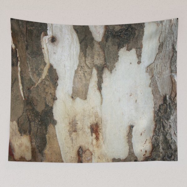 Item preview, Peeling Bark Of A Eucalyptus Gum Tree Photograph designed and sold by taiche.