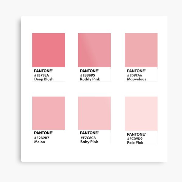 Pastel pink pantone color swatch