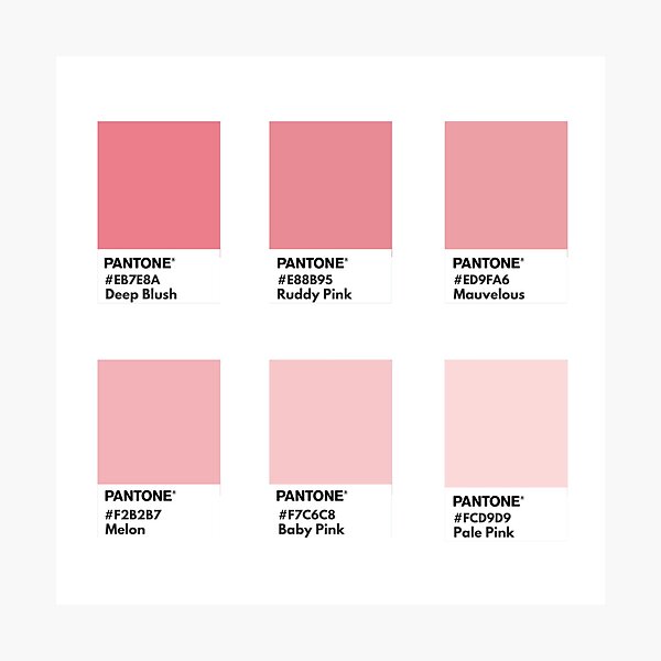 Pastel pink pantone color swatch