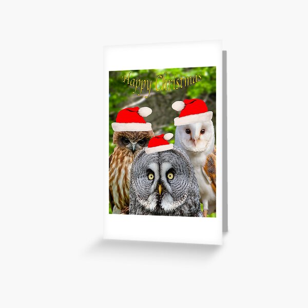 Owl be home for Christmas Greeting Card