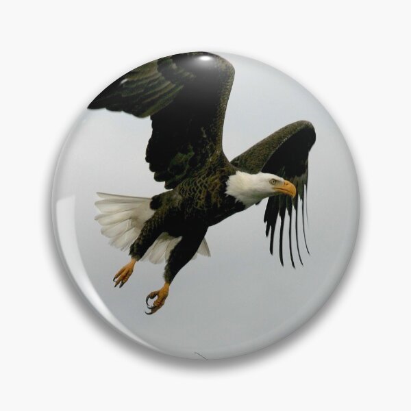 Item preview, Fly Eagle Fly designed and sold by DocSaunders.