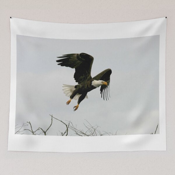 Item preview, Fly Eagle Fly designed and sold by DocSaunders.