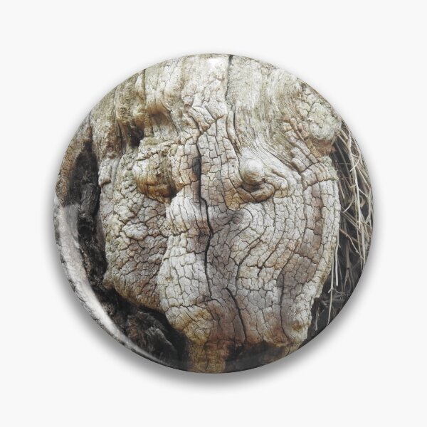 Item preview, Haunting face in tree trunk designed and sold by Gaynor-dI.