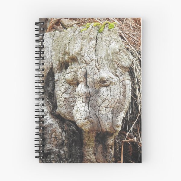 Item preview, Haunting face in tree trunk designed and sold by Gaynor-dI.