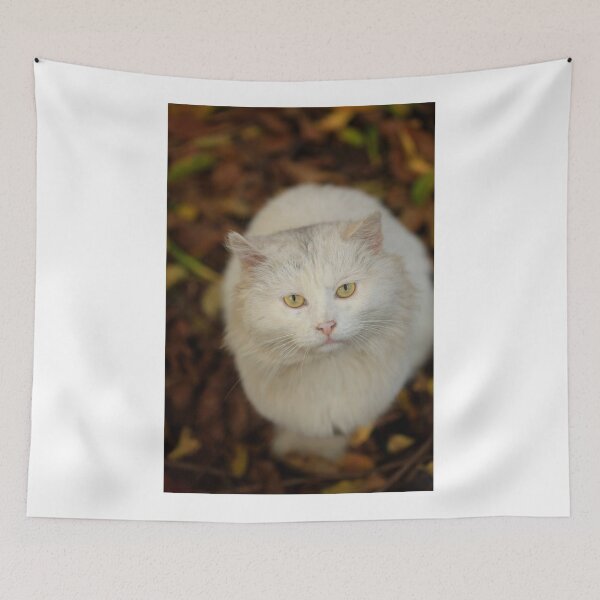 Item preview, Portrait of wild white cat designed and sold by olena2552.