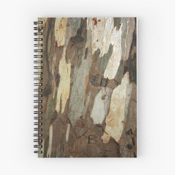 Item preview, Eucalyptus Tree Exfoliating Bark Abstract Photograph designed and sold by taiche.